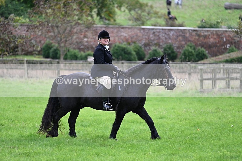 WJ7_4653 - Camera 1 Line 3