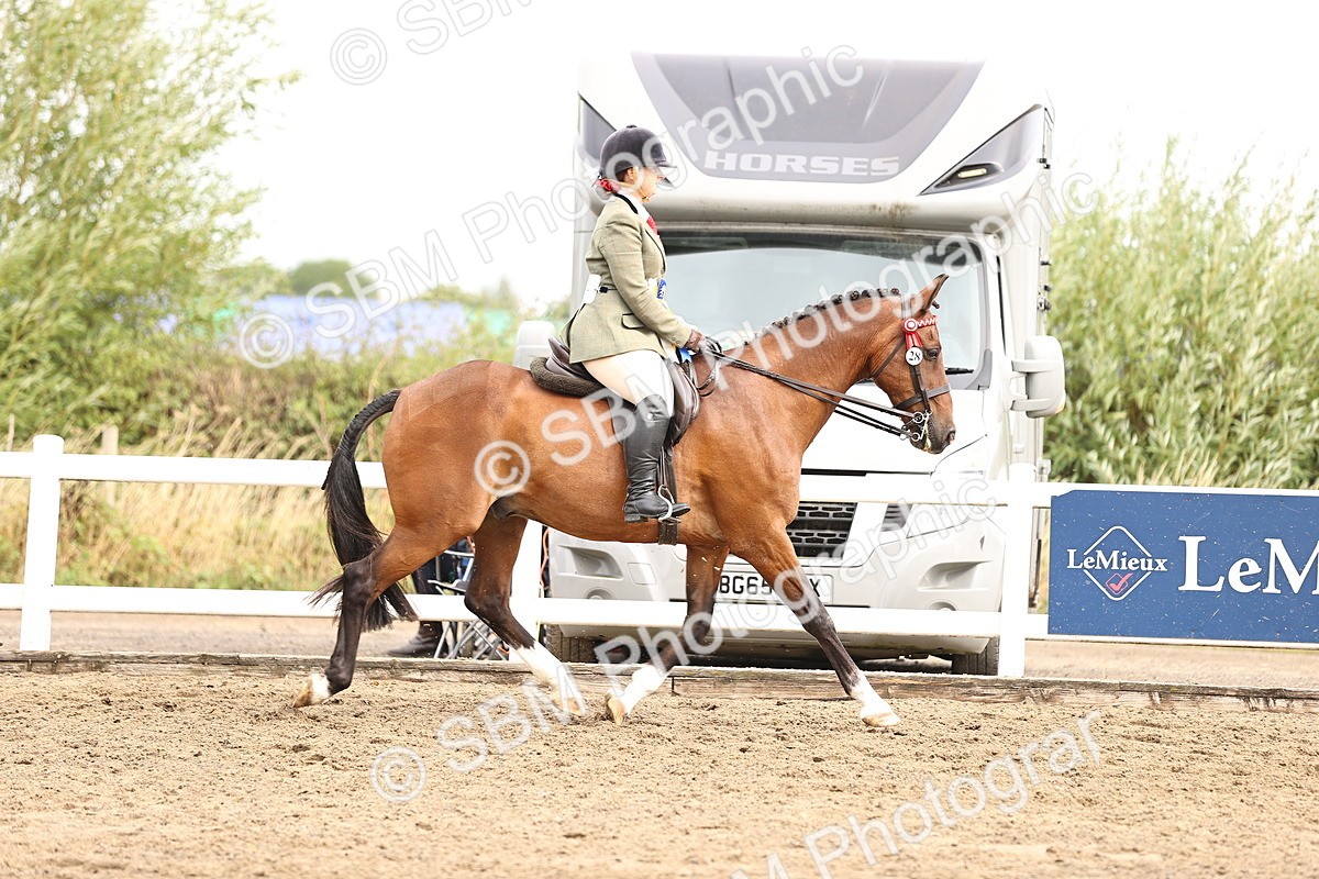 SBM_00704 - Class 53 - Ridden Competition Horse Pony