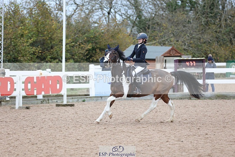 241116X-101813-00812 - Cls 08 Pony Winter Nov Champs