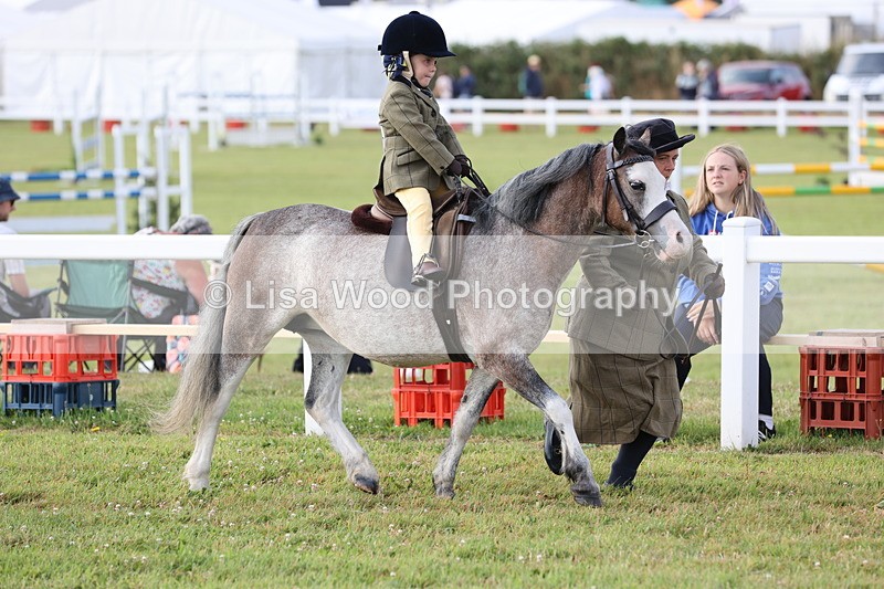 JPP_0197 - Class 14: Cornish Combination Leading Rein