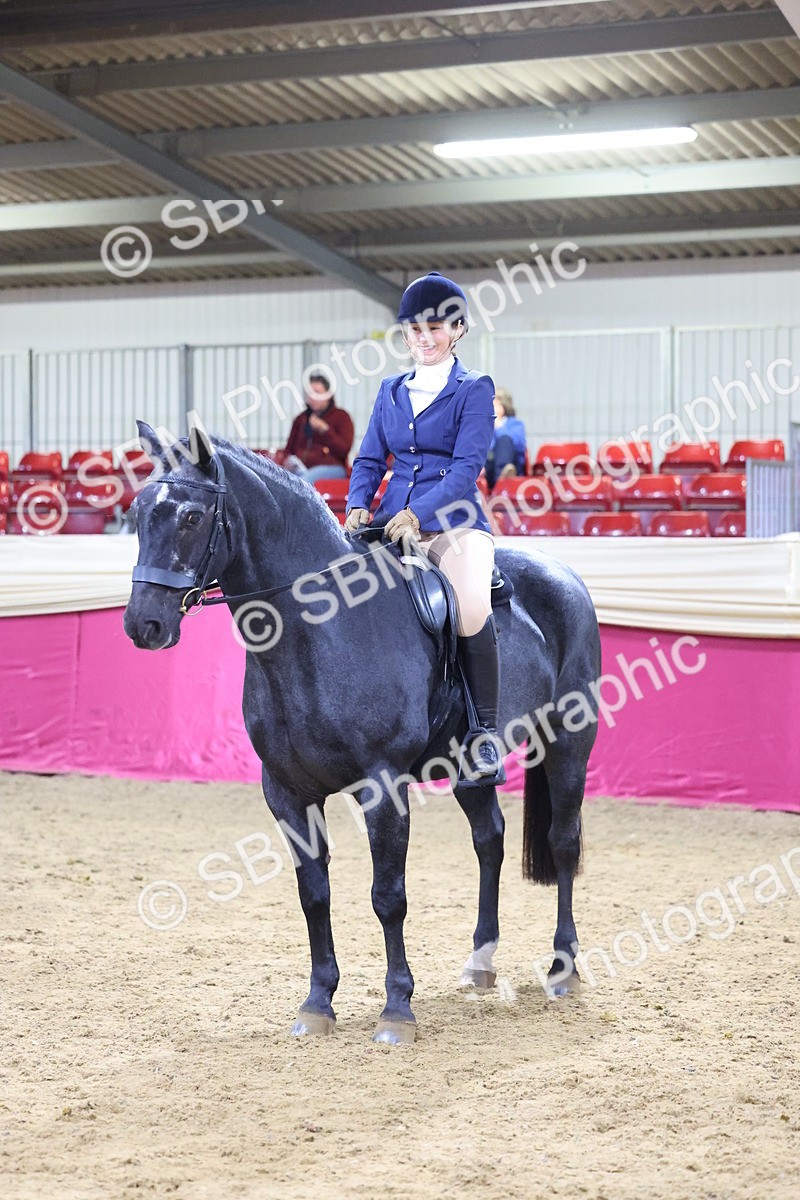 SBM_19170 - Class I Competition/ Riding Club Champ