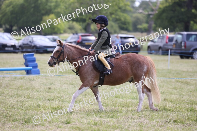 20260614-2113 - Class 21 - Novice Working Hunter Pony