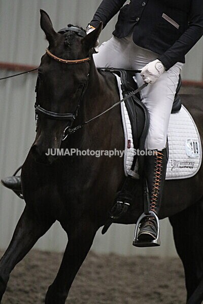 SIAL5676 - CAbin Dressage 5th july 2025