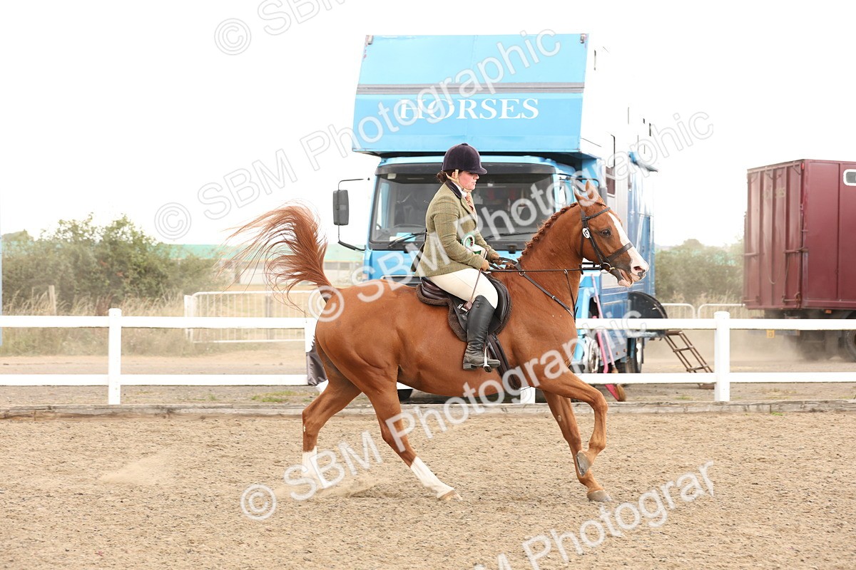 SBM_07531 - Class 59a -  Style & Performance - 80cm (15-19)