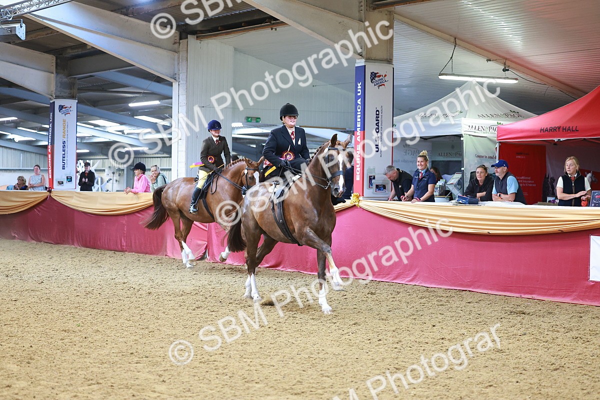 SBM_12713 - Class 103 - HOYS Veteran Qualifier - Ridden Pre Vet