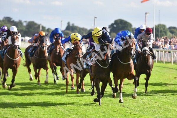 yr19082022r7-37 - Race 7 5.20pm Sky Bet Mile Stakes