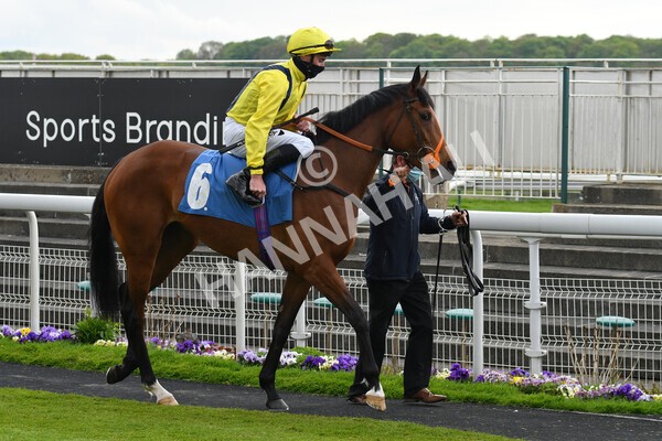 yr14052021r2-5 - Race 2 2.10pm Oak Farm Stables Fillies' Stakes (registered as the Michael Seely Memorial Stakes)