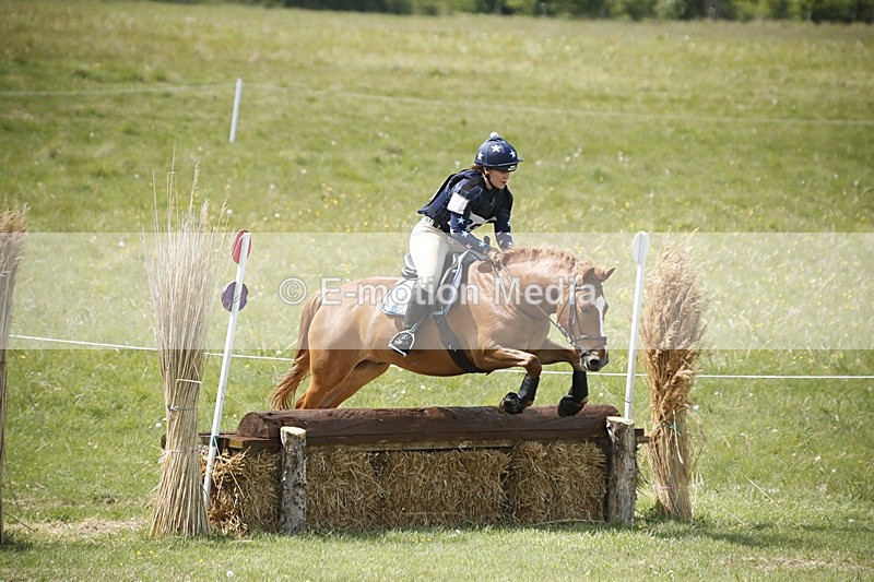 BVHT 140517  NXC -349 - Class 2 XC Novice 14/05/17