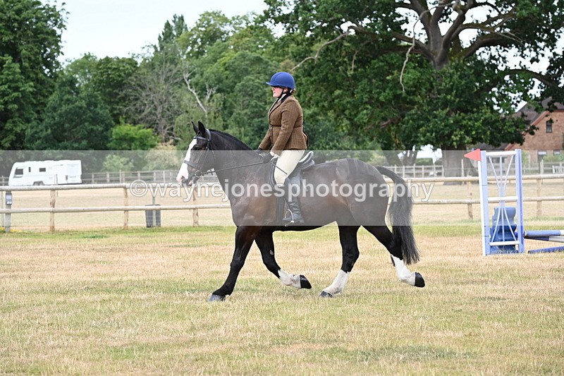 WJ6_3871 - Class 9 Tack & Turnout
