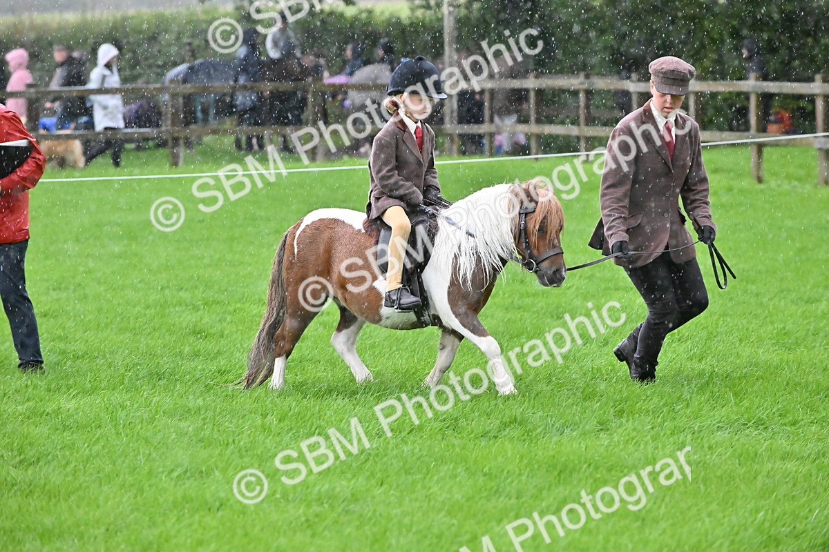 SBM_36454 - S18 - Novice & Newcomer Lead Rein Pony