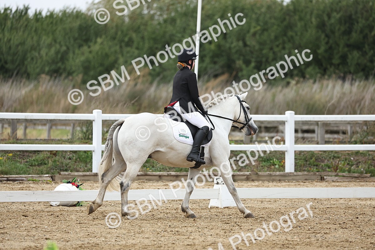 SBM_004353 - Class 8 - Novice 3 Champs