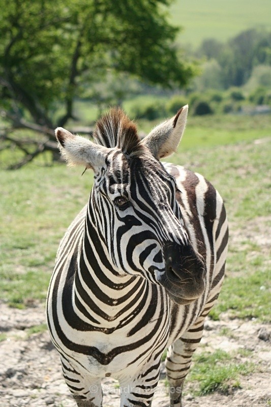  - Wildlife & People