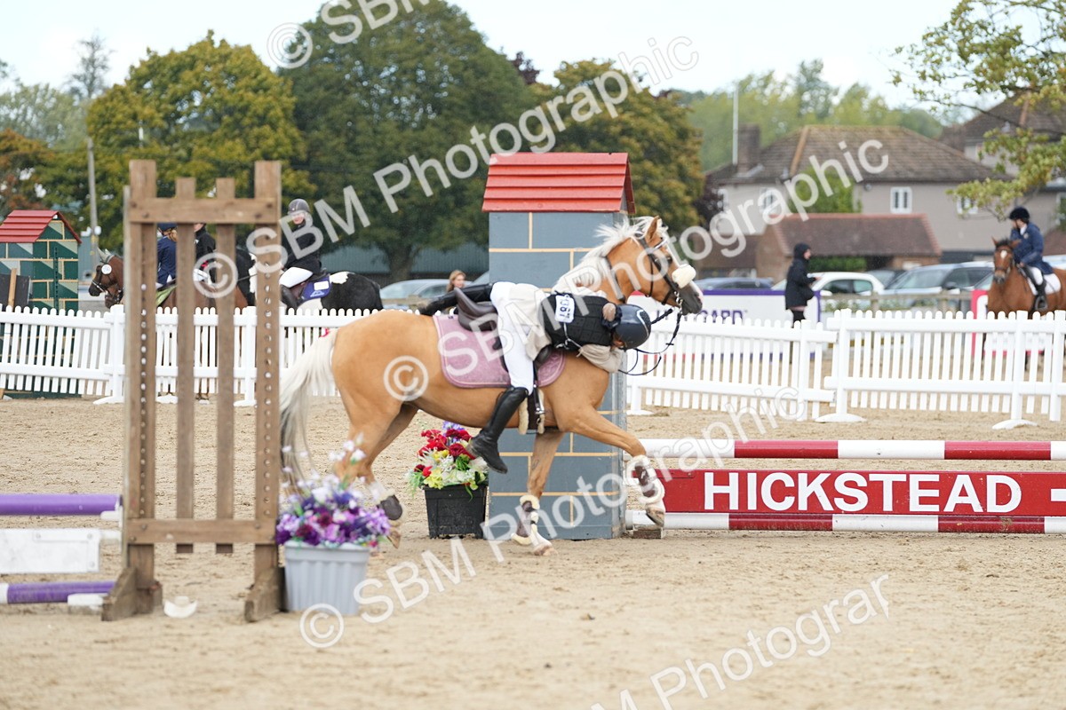 SBM_20731 - J49 - Open 50cm