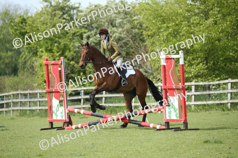 20260426-1666 - Class 14 - Novice 60cm