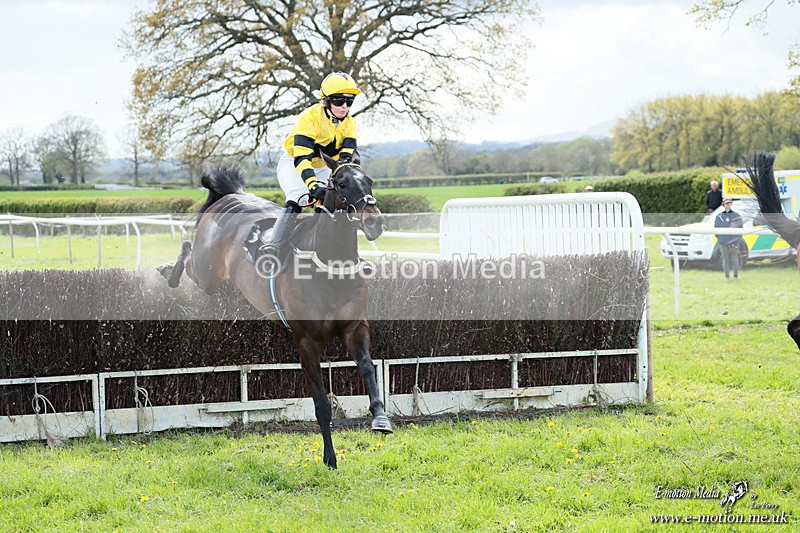 PtP 180426 825 - Worcestershire Hunt PtP Chaddesley Corbett 18/04/26