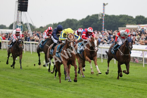 yr22072022r3-46 - Race 3 6.20pm Tomahawk Stakes