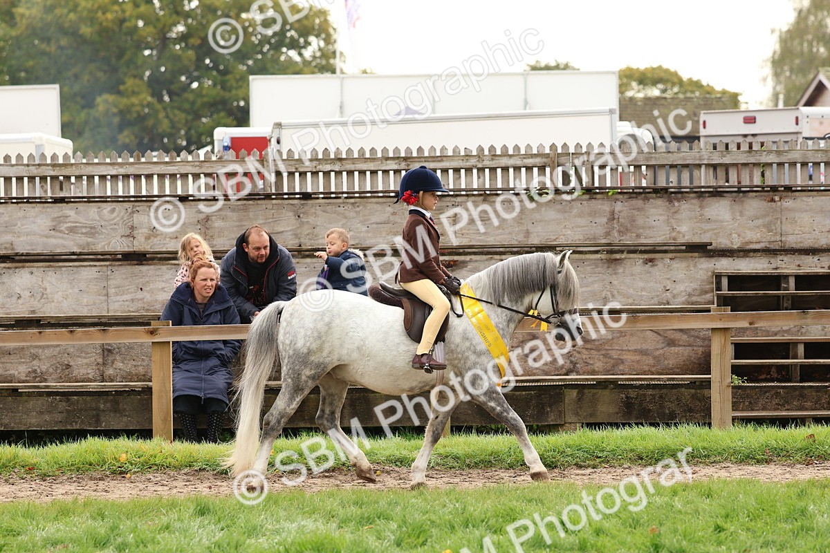 SBM_59779 - Start Supreme Championship