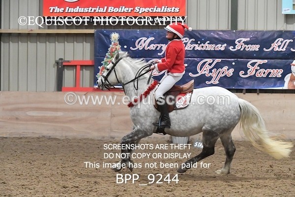 BPP_9244 - CLASS 4 50CM Novice Show Jumping