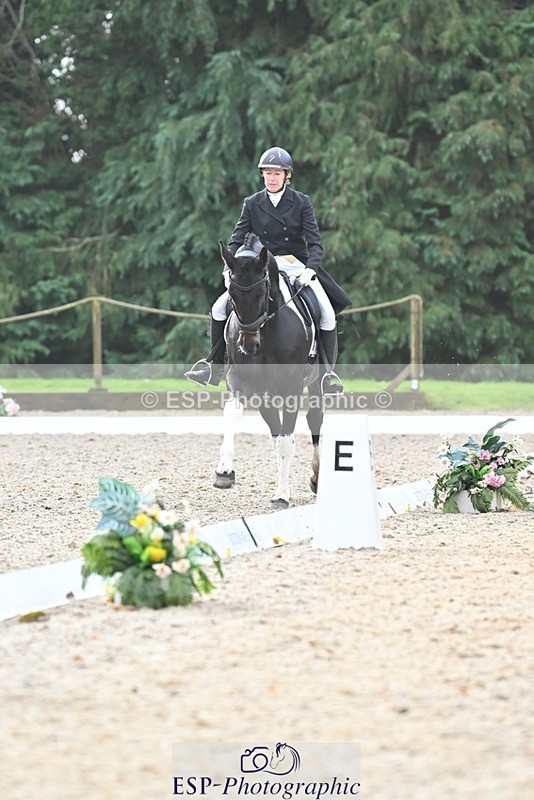 231019-103533-01898 - 101-RICARDO.COLOURS.II-Elizabeth.Wadey-DR