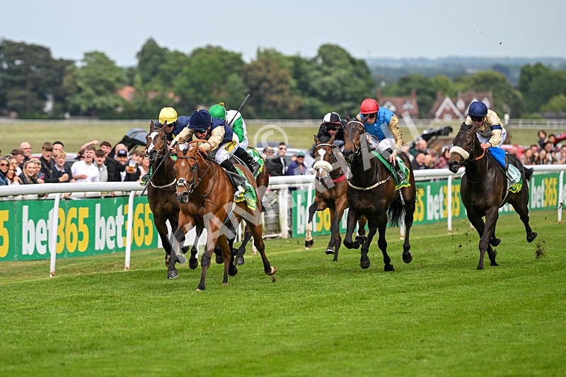 240525-Race 3-Old Is Gold-0873 - Race 3