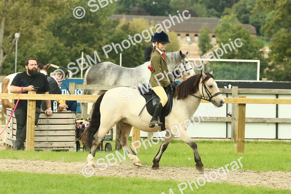 SBM_69945 - S59 - Mountain & Moorland Ridden Small Breeds