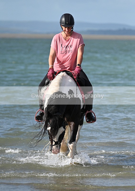 WJ7_4182 - Kellie & Churchill ... do Hayling Island 25-08-24
