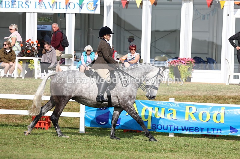 3E7A8819 - Class 3: Rising Star S/L Hunter