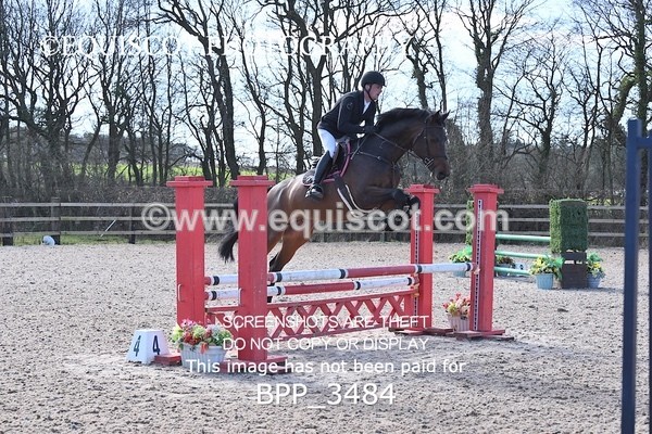 BPP_3484 - CLASS 4 Senior British Novice/ 90cm Open