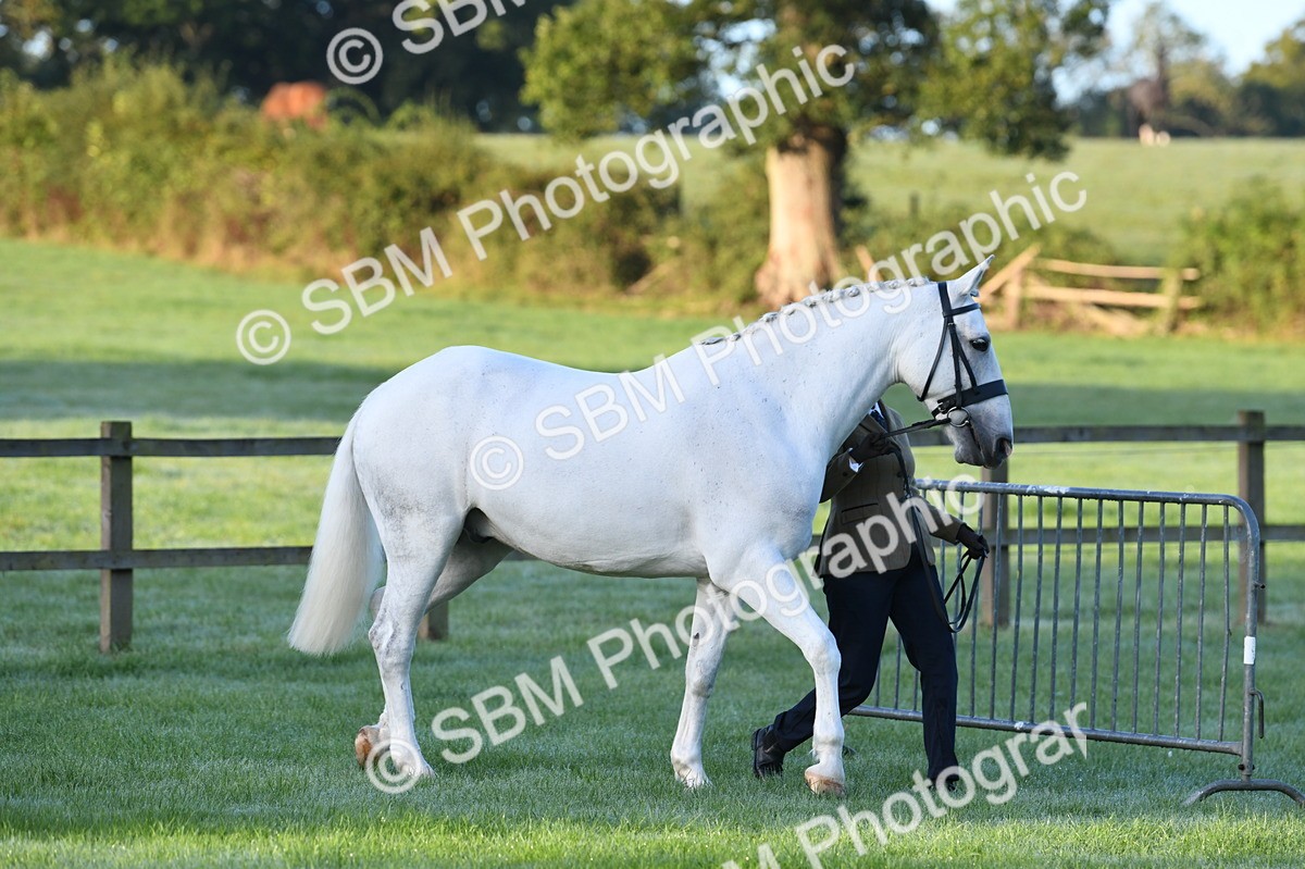 SBM_32419 - S15 - Condition & Turnout In Hand