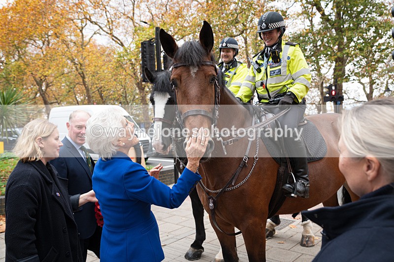 Z62_4487 - Animals In War Memorial 2025 - Park Lane, London