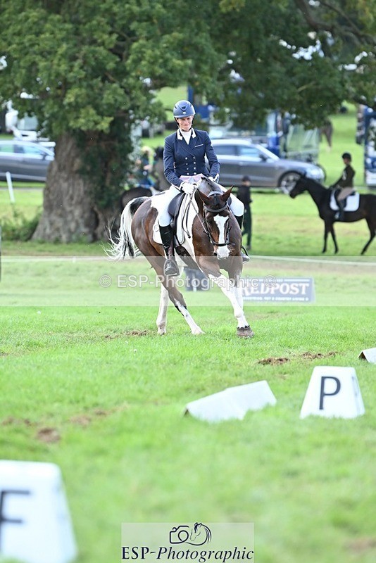 231020-145357-11021 - 669-FOXRIDGE.HIGH.JINX-Claire.Deuten-DR