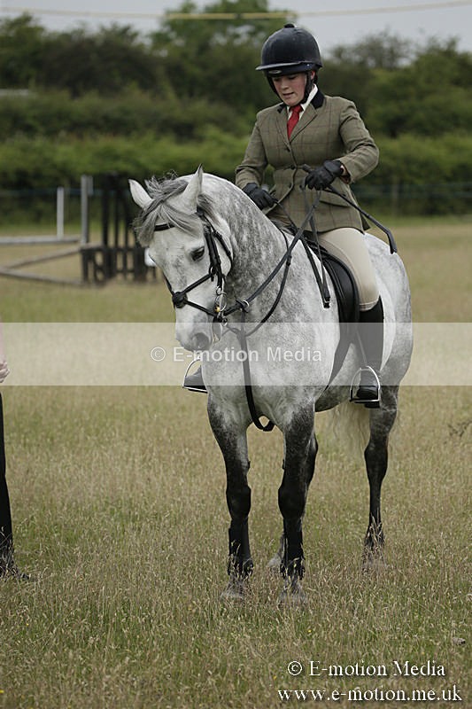 B230619-0128 - Bourne Valley Riding Club Summer Show 23/06/19