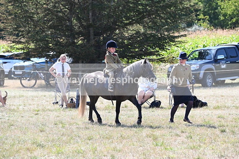 WJ6_7951 - Class 36 Lead Rein