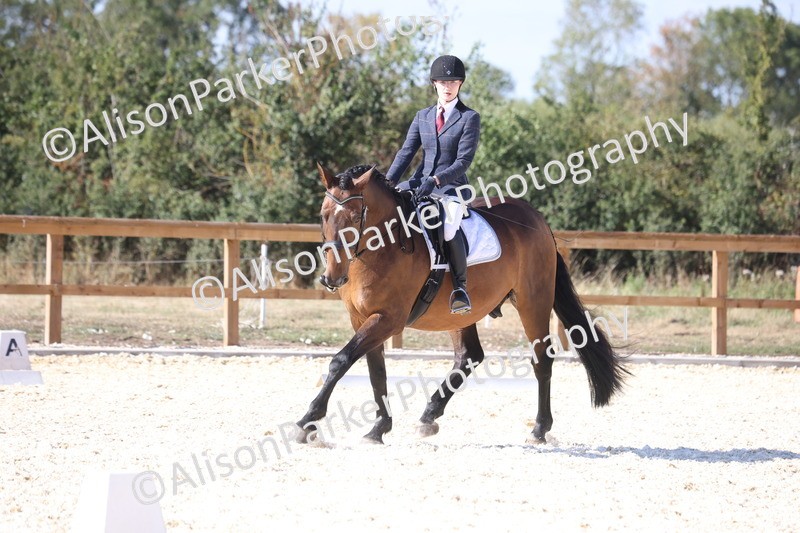 20260905-1595 - Class 5 - Novice 2