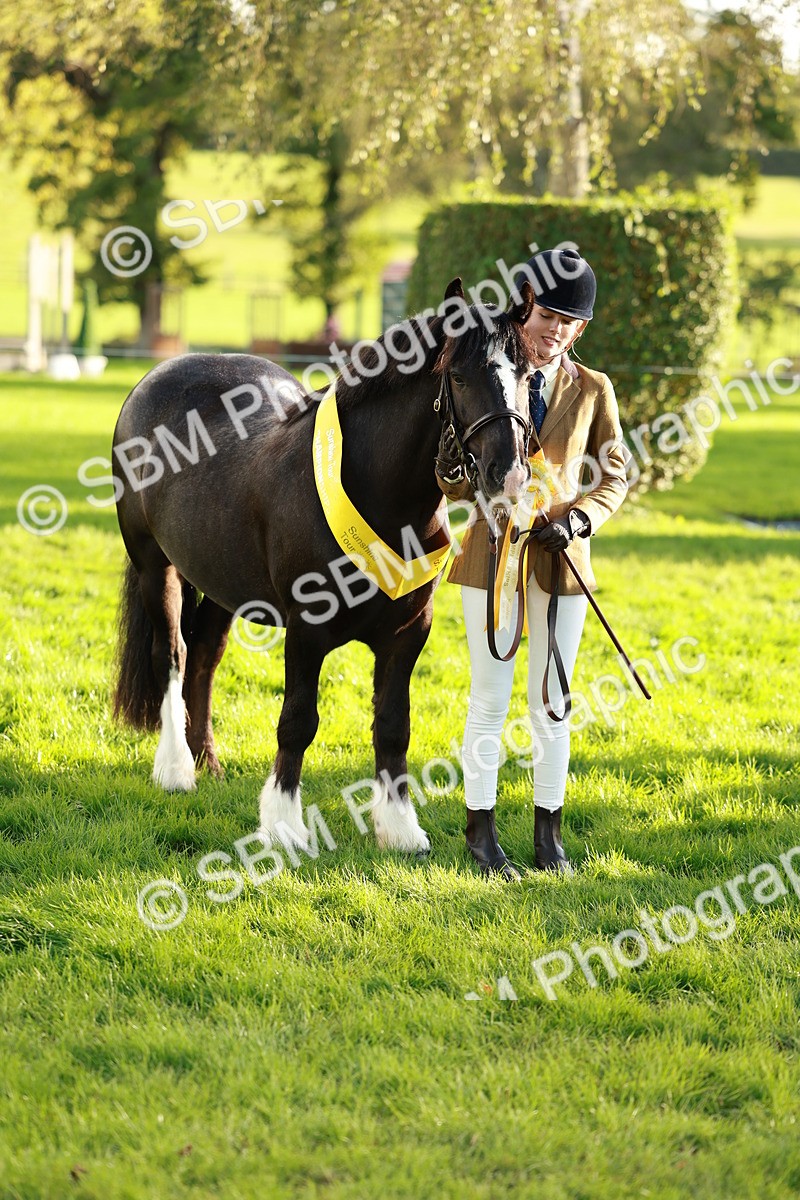 SBM_29308 - Novice & newcomer Supreme Championship