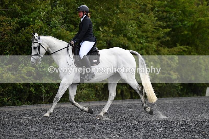 WJ5_1913 - Time 14:20 to 15:01