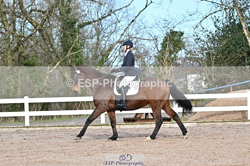 250125-124657-00485 - Dressage - CT Class 6 BE102