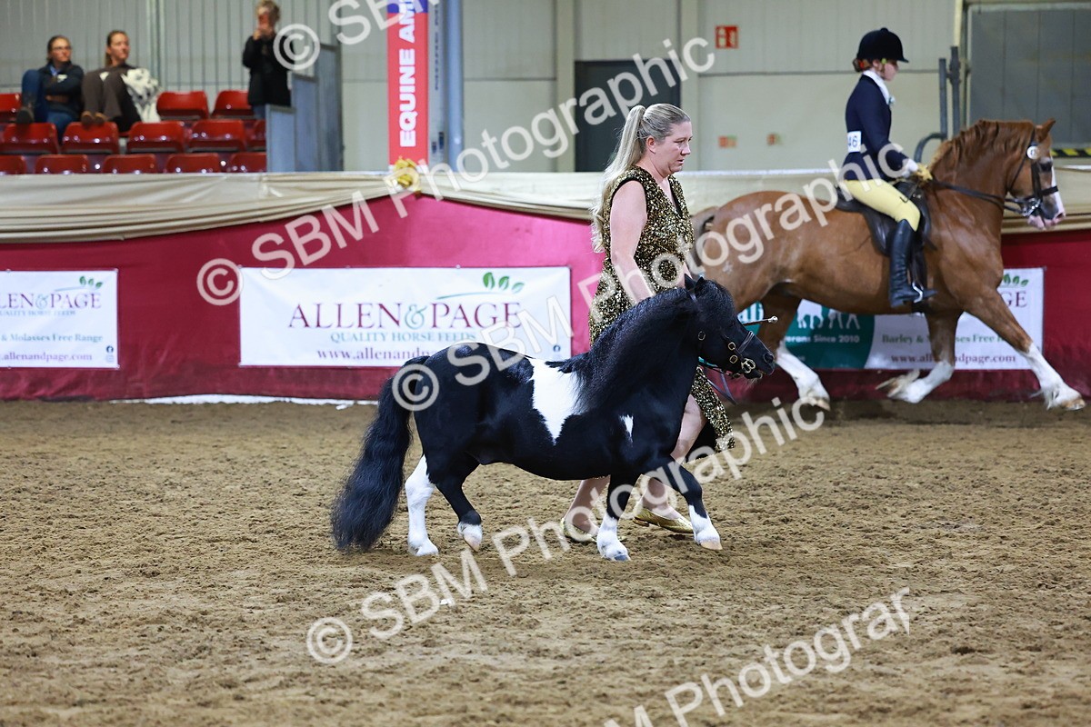 SBM_15244 - Class P - M&M Champ