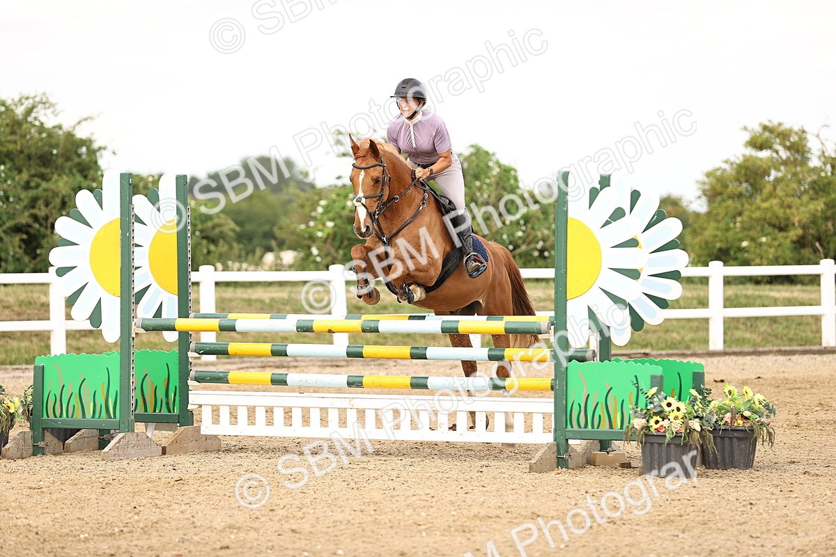 SBM_002636 - Class 19 - Nupafeed Supplements Senior Discovery - 1.00m