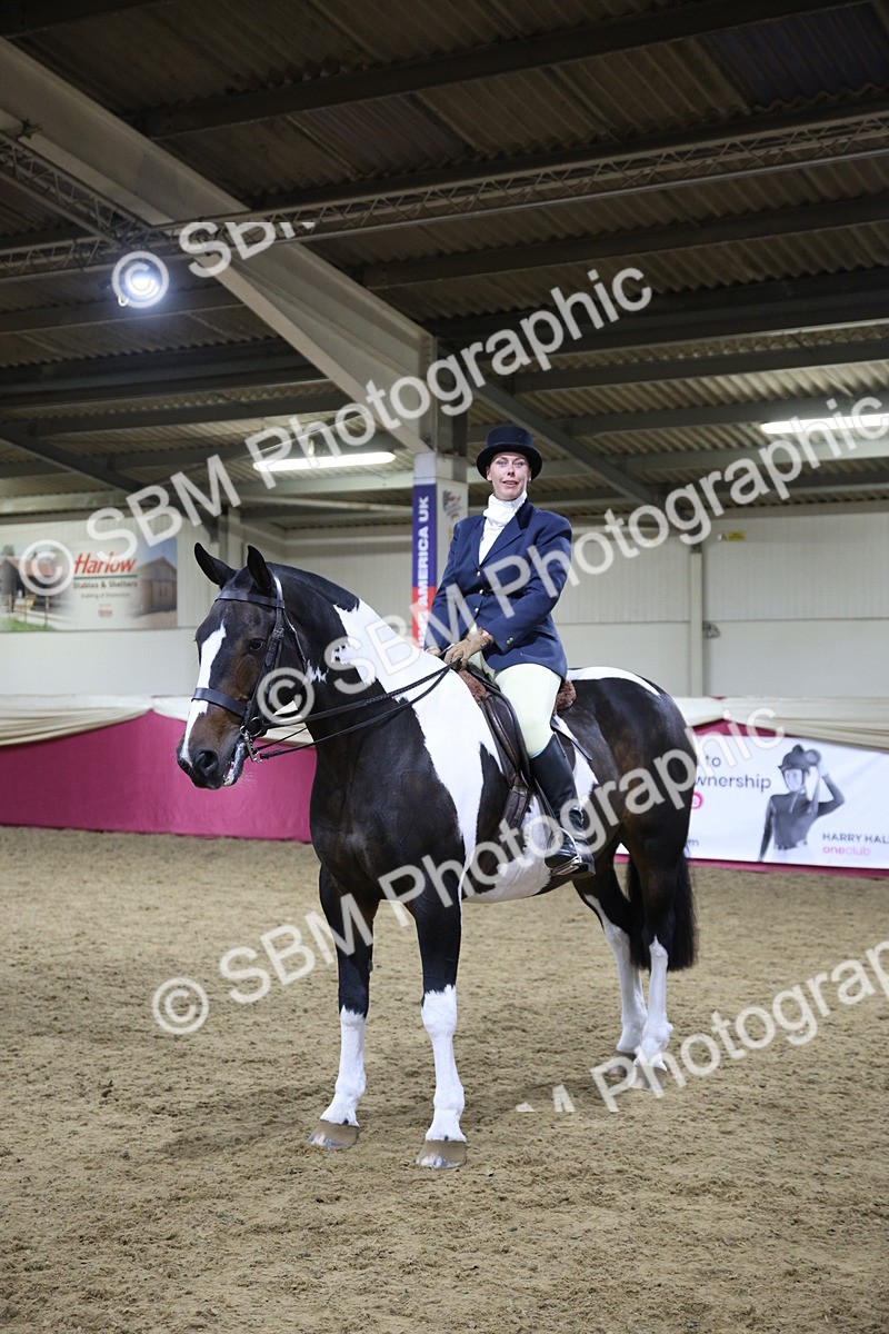 5K7A1557 - Class O Ridden Show Horse Champ