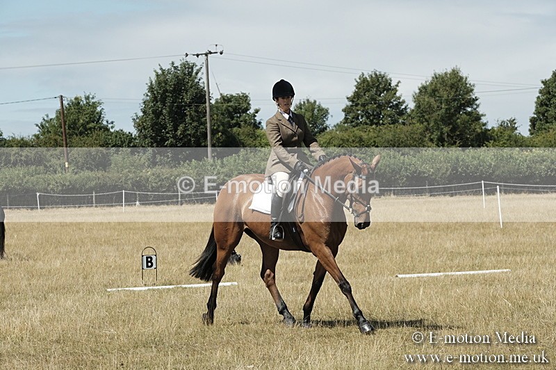 _PJP5836 - Dressage Classes BVRC Show 2018
