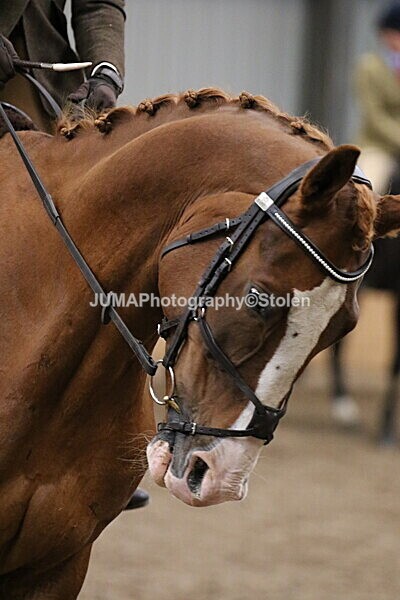 SIAL3212 - Sunday 14th Ridden