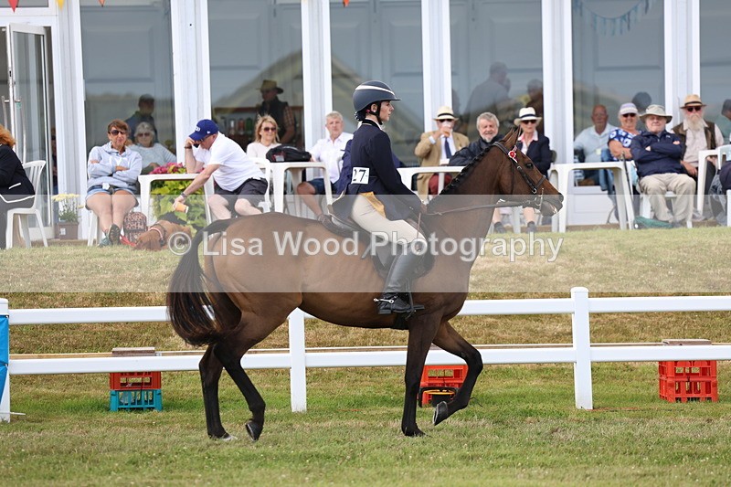 3E7A2333 - Class 11: Retraining of Racehorse