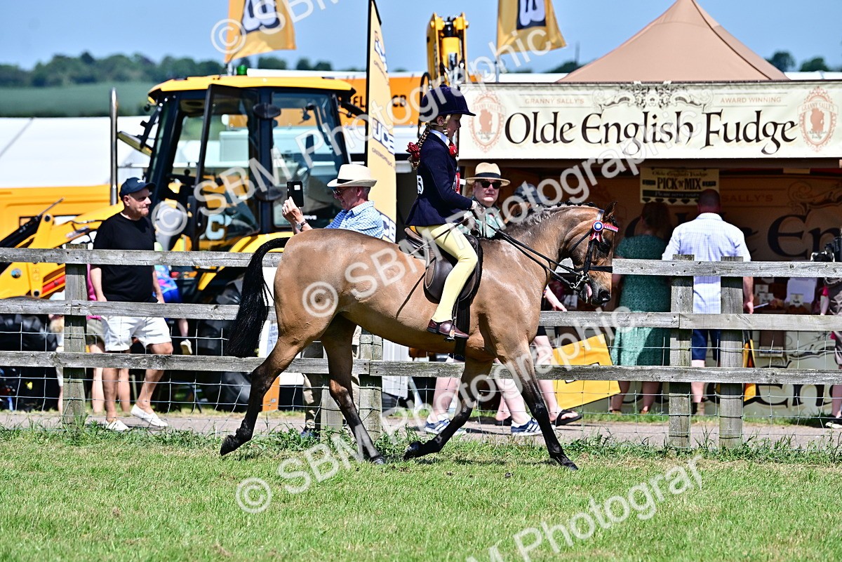 SBM_17542 - Class 95-97 - BSPS LHS Performance Ponies