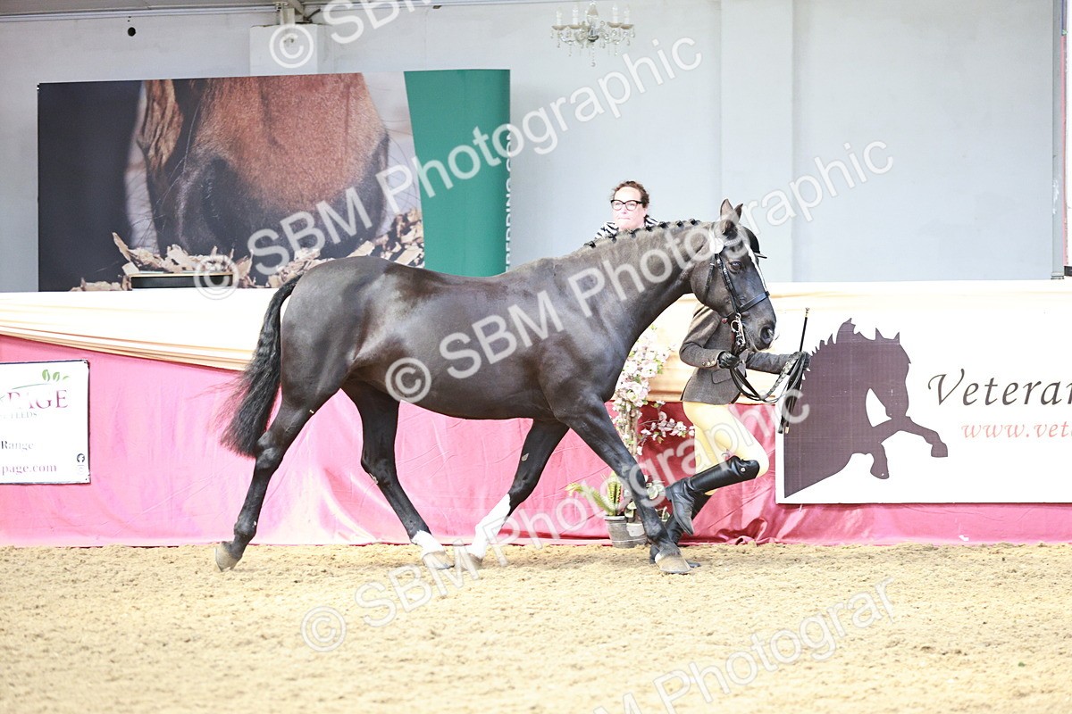 SBM_04751 - Class 7R - Regional IH Diamond