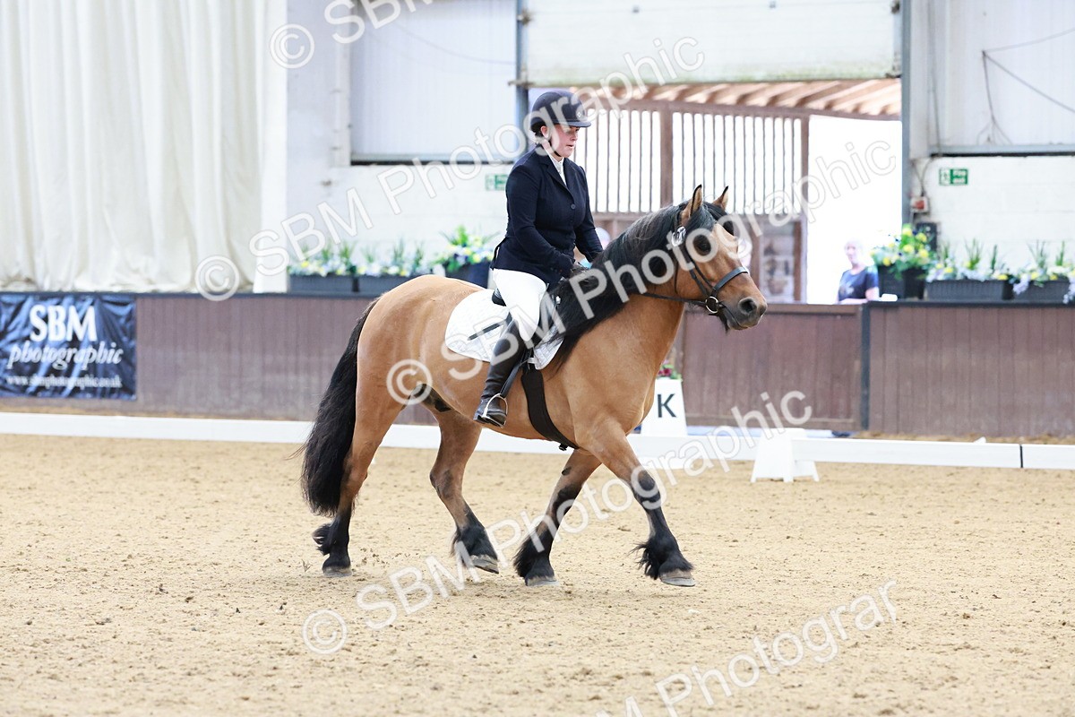 SBM_003192 - Intro 2