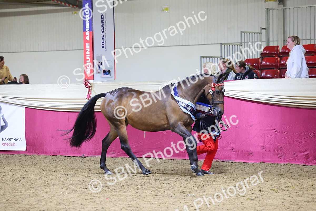 SBM_18947 - Class F Grass Roots Champ