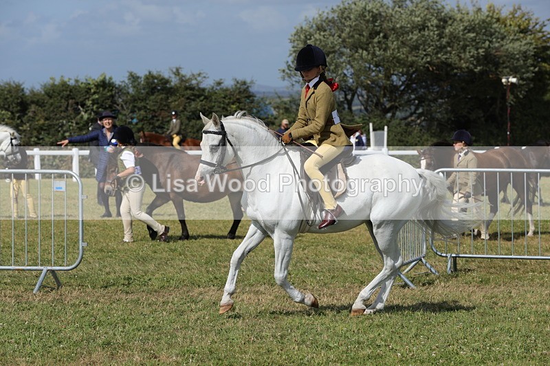 1X9A5767 - Class 40: NPS Welsh A & B