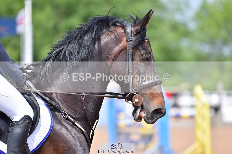 230609A-122624-00891 - Cls 10 85cm Amateur Qualifier