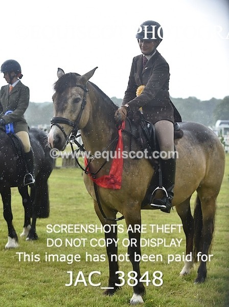 JAC_3848 - 65cm WORKING HUNTER